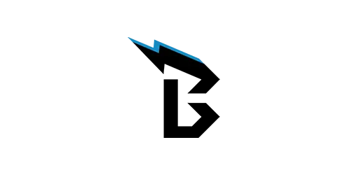 Blitz Consulting Logo